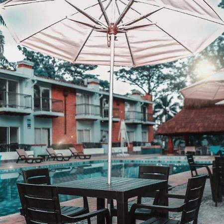 Hotel Y Restaurante Meson Del Gitano Caucasia Luaran gambar
